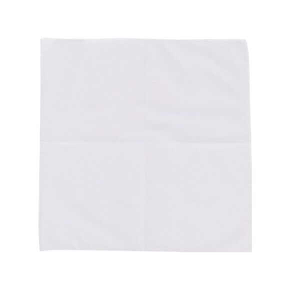 Lady Anne White Scarves Men